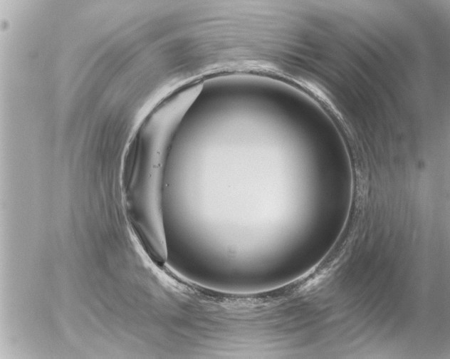 X0000055521046200508262200