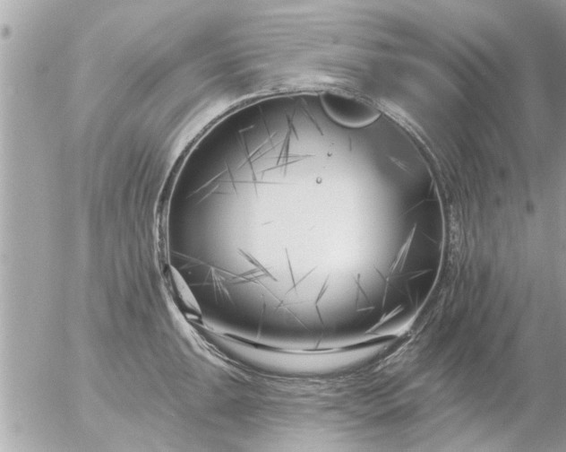 X0000055521047200508262200