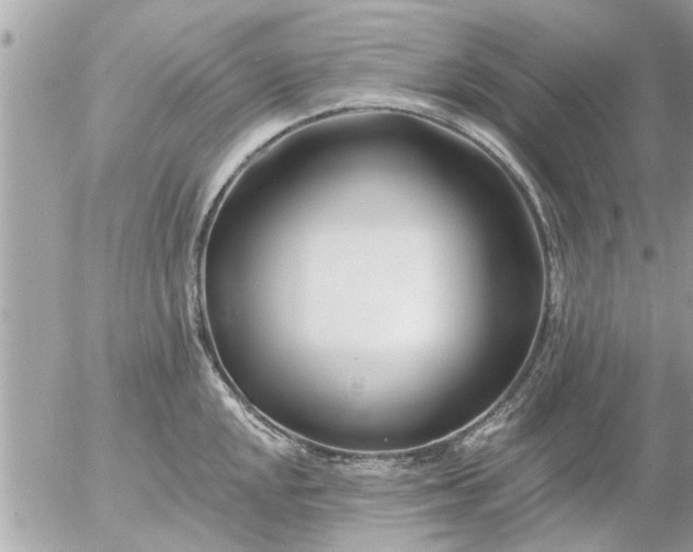 X0000055521048200508262200