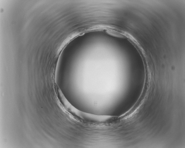 X0000055521049200508262200