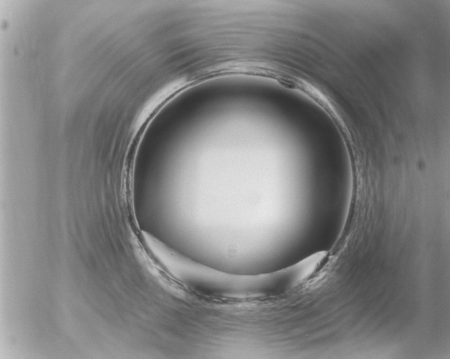 X0000055521050200508262200