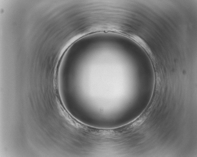 X0000055521052200508262201