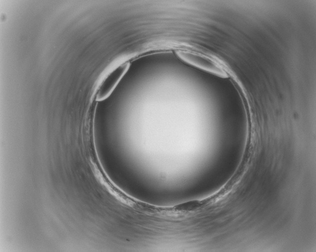 X0000055521053200508262201