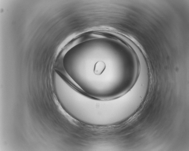 X0000055521054200508262201