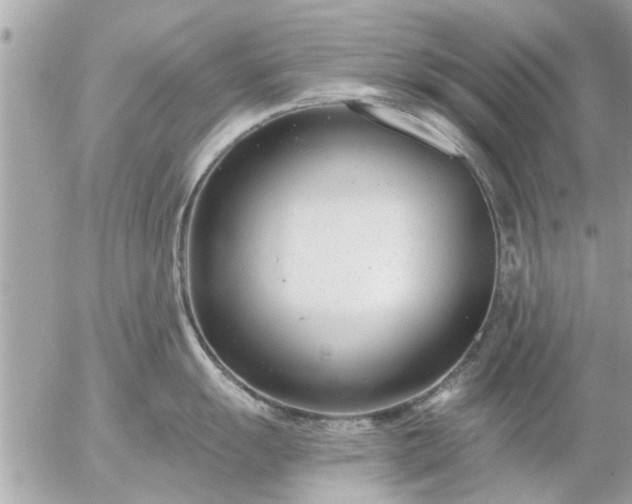 X0000055521055200508262201