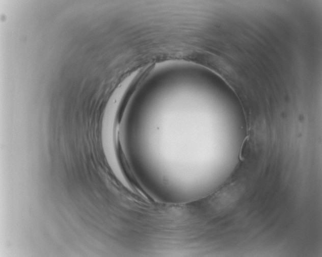 X0000055521058200508262200