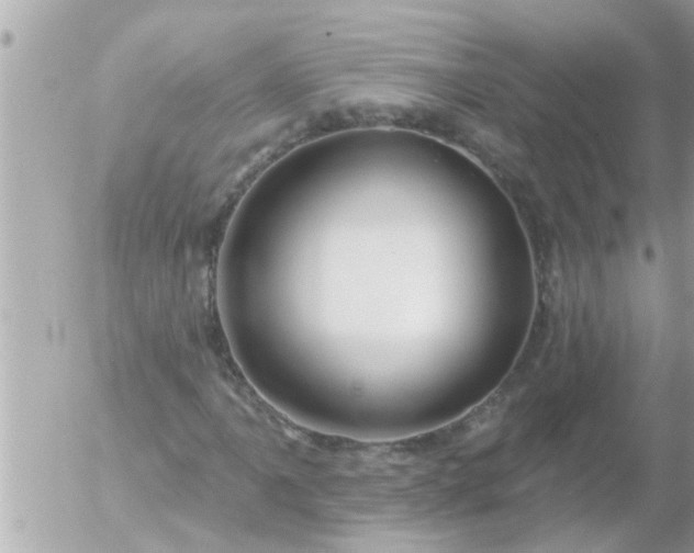 X0000055521061200508262200