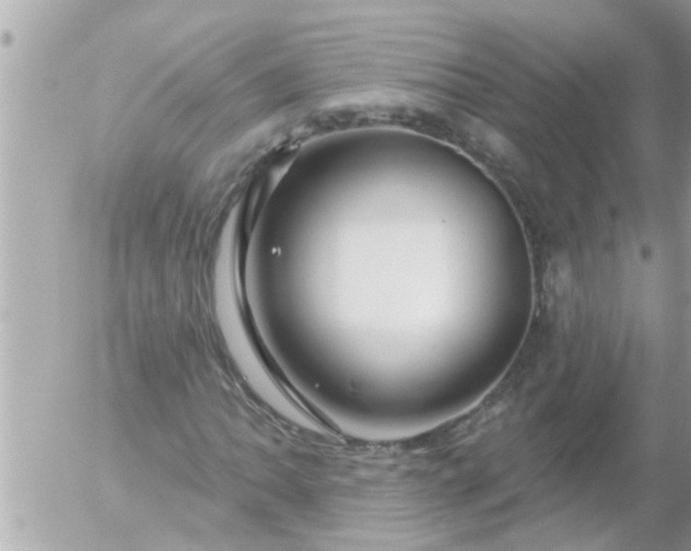 X0000055521062200508262200