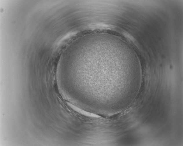 X0000055521063200508262200