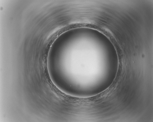 X0000055521064200508262200