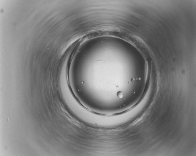 X0000055521065200508262200