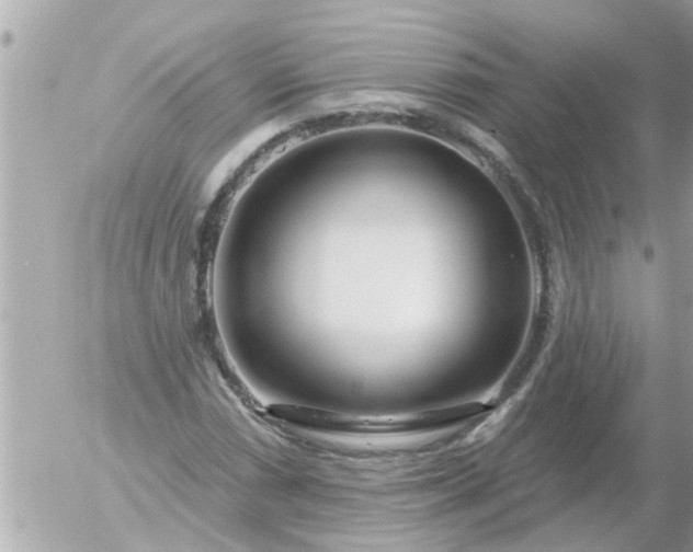 X0000055521066200508262200