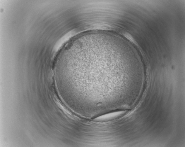 X0000055521067200508262200