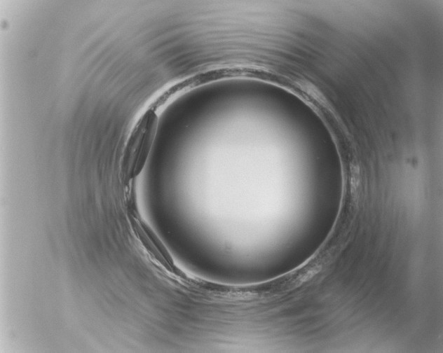 X0000055521068200508262200