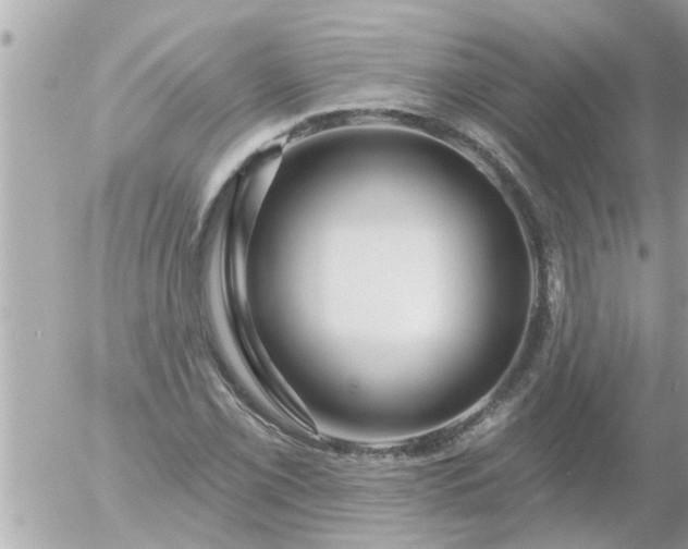 X0000055521069200508262200