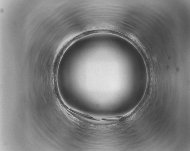 X0000055521072200508262200