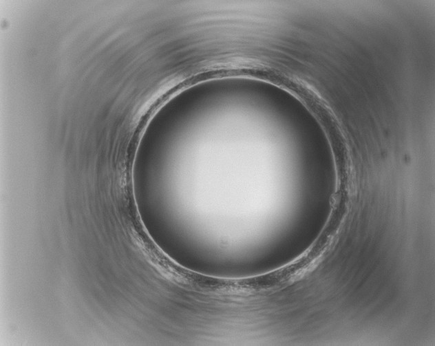 X0000055521073200508262200