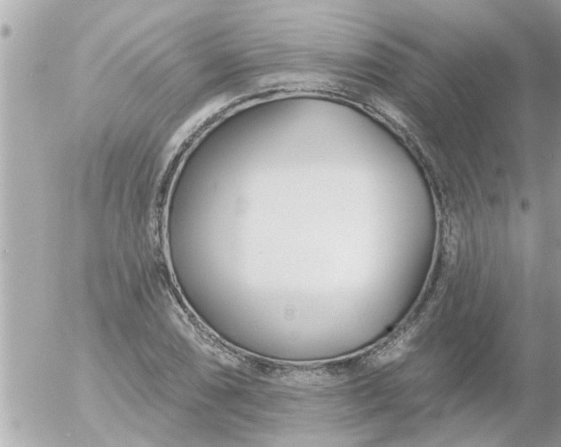 X0000055521074200508262200