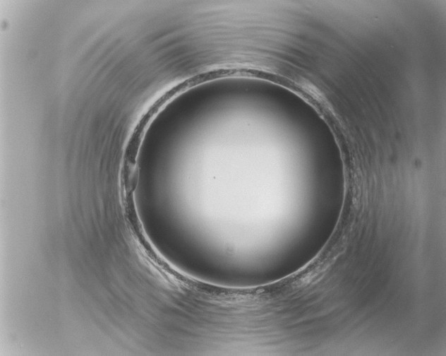 X0000055521076200508262159