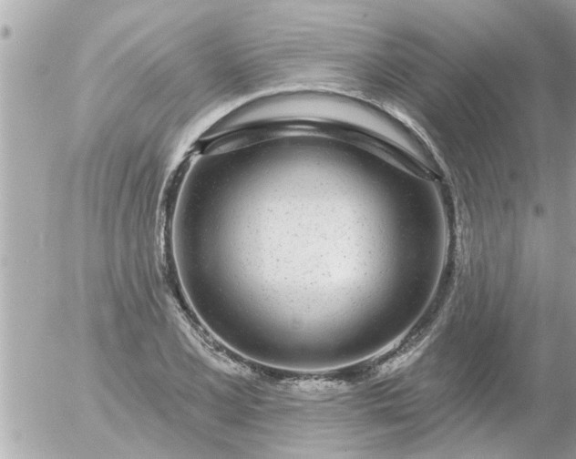 X0000055521077200508262159