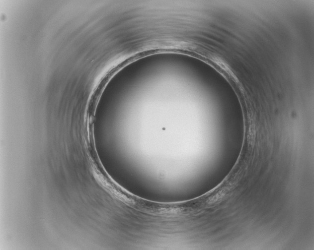 X0000055521080200508262159