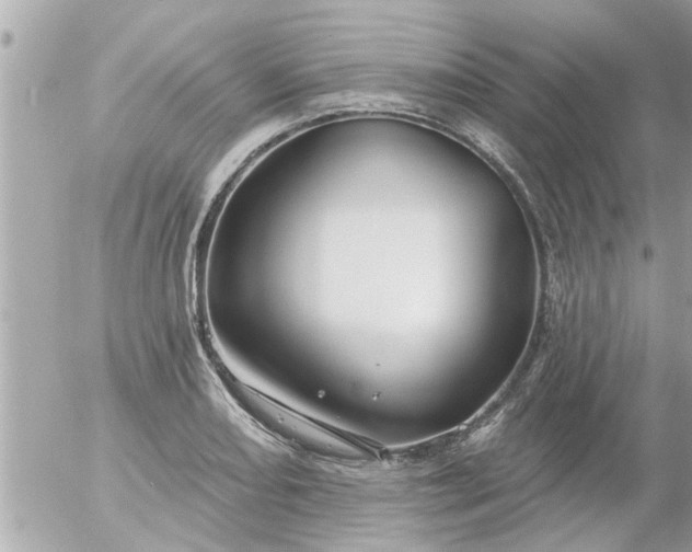 X0000055521082200508262159