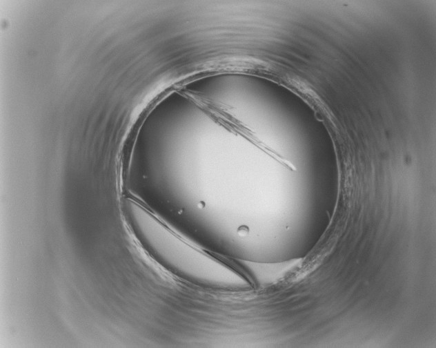 X0000055521083200508262159