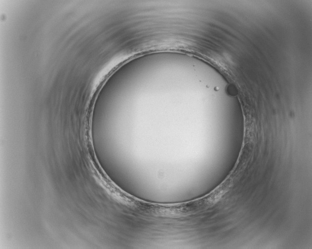 X0000055521086200508262159