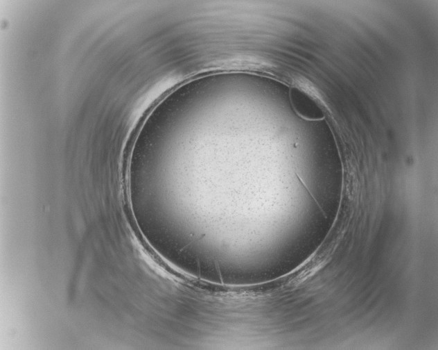 X0000055521087200508262159