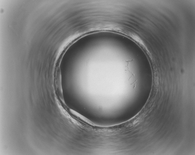 X0000055521088200508262159