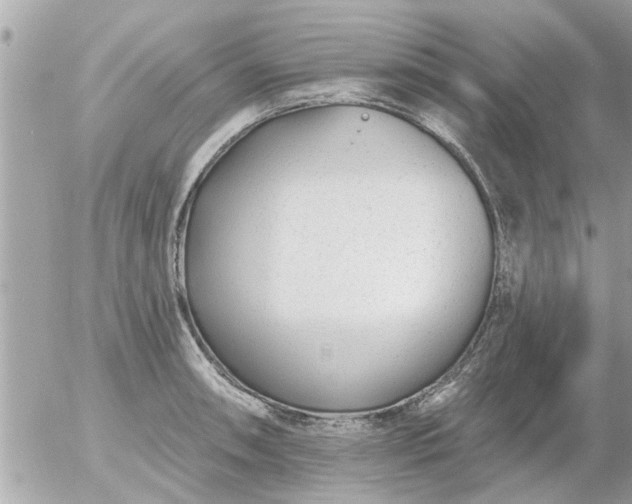 X0000055521090200508262159