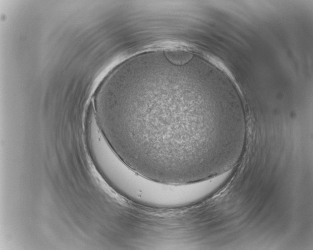 X0000055521091200508262159