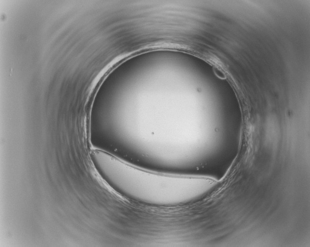 X0000055521092200508262159