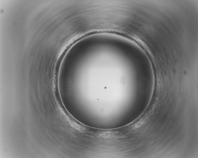 X0000055521093200508262159