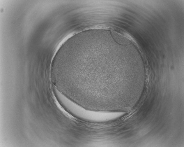 X0000055521095200508262159