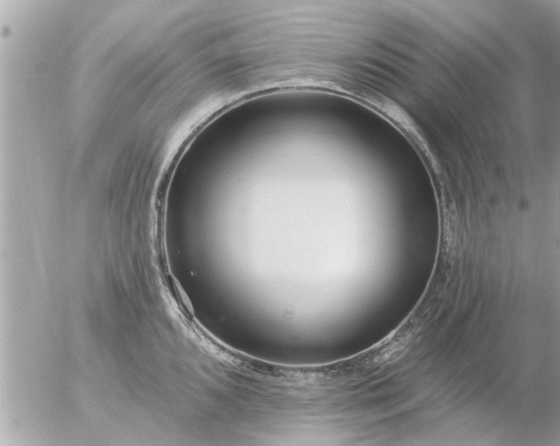 X0000055521096200508262159