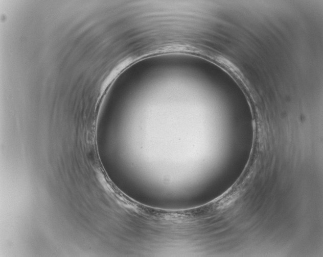 X0000055521097200508262159