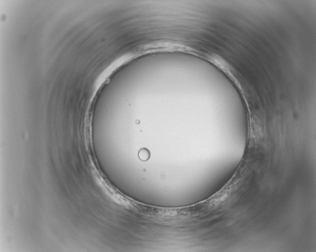 X0000055521098200508262159