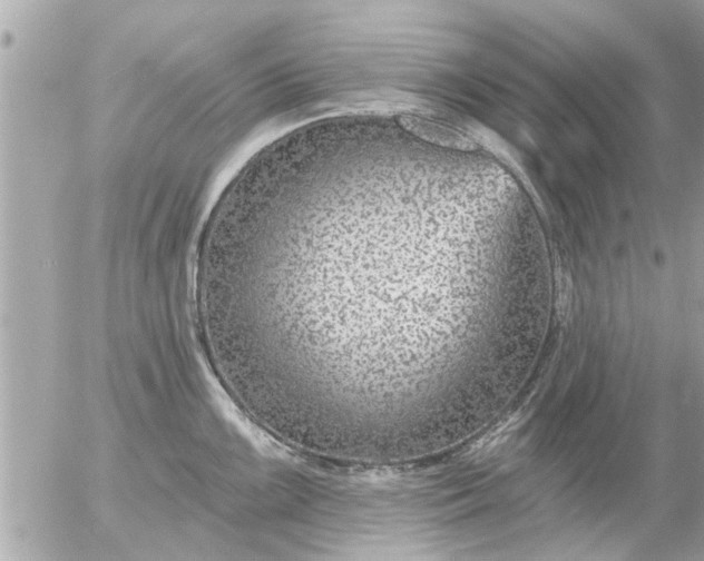 X0000055521099200508262159