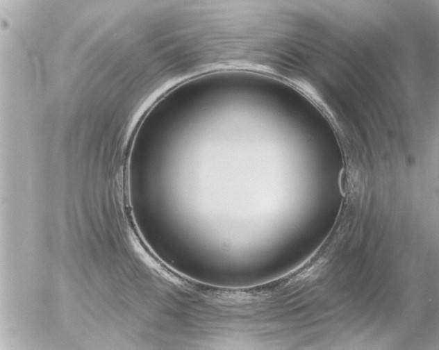 X0000055521100200508262159