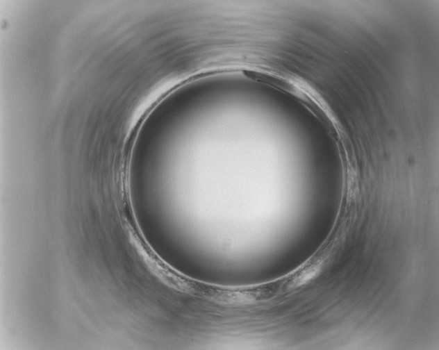 X0000055521101200508262159