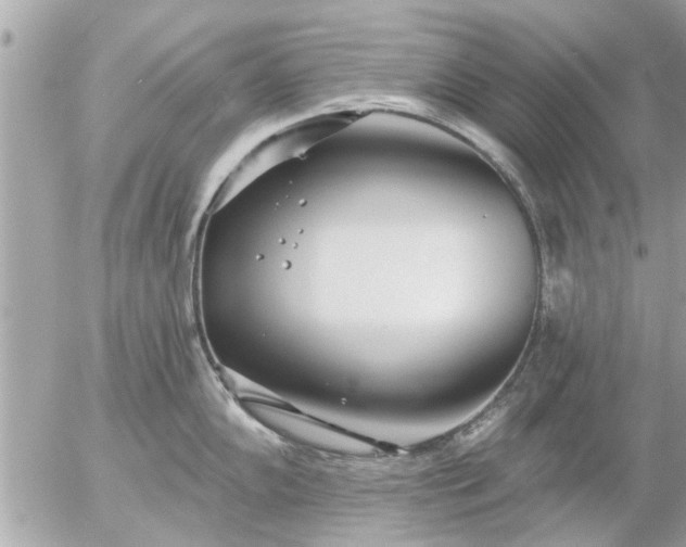 X0000055521102200508262159