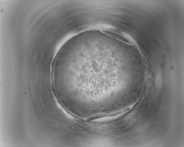 X0000055521103200508262159