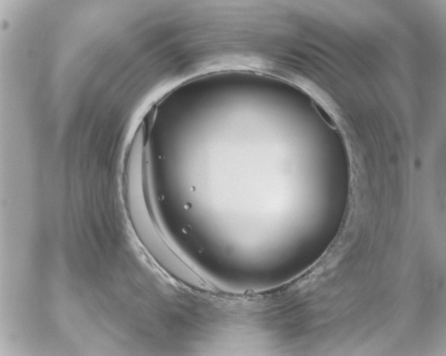 X0000055521104200508262159