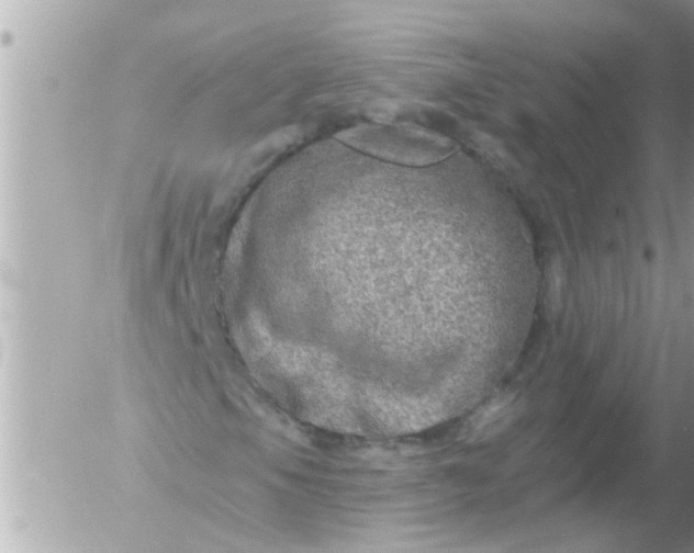 X0000055521105200508262158