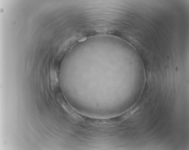 X0000055521106200508262158