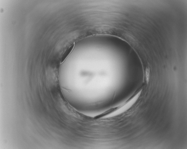 X0000055521107200508262158