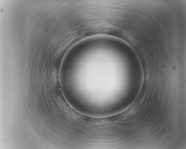 X0000055521108200508262158