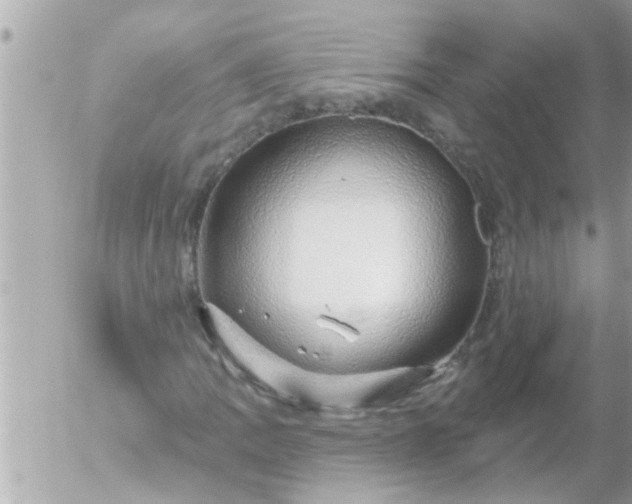 X0000055521109200508262158