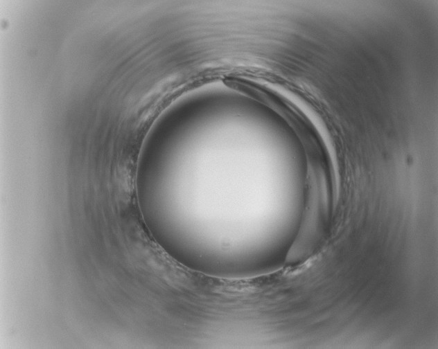 X0000055521110200508262158